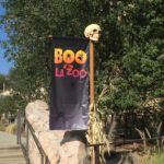 Boo at the LA Zoo – October 2016