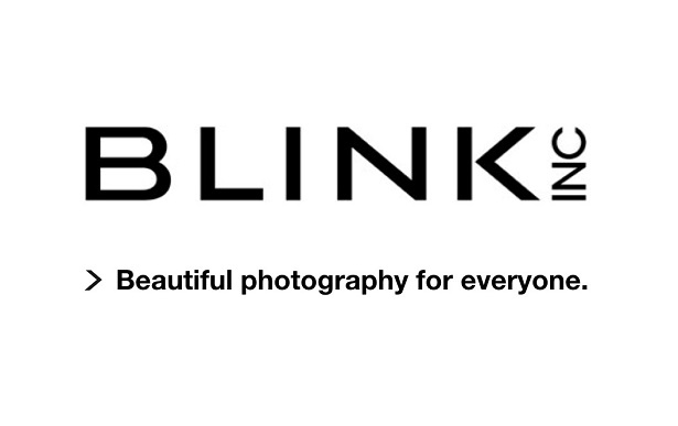 Blink Inc Logo