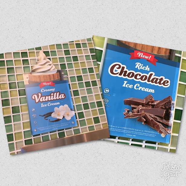 Yogurtland Ice Cream Vanilla and Chocolate Flavors
