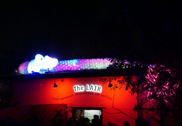 L.A. Zoo Lights LAIR