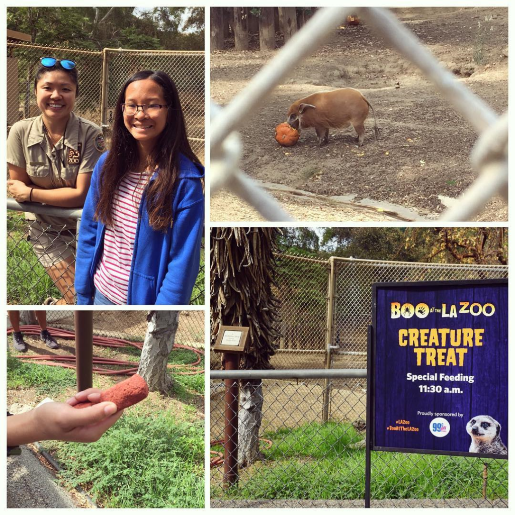 Boo at the LA Zoo Creature Feeding