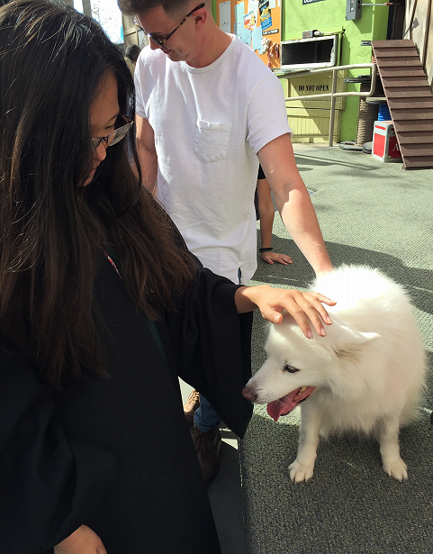 Universal Studios Hollywood - Animal Actors petting the dog