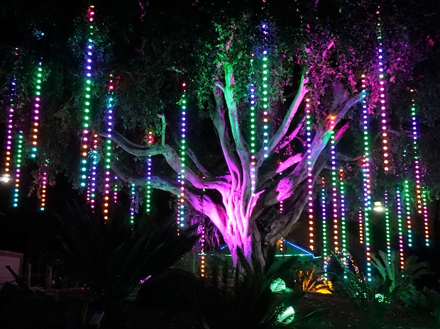 LA Zoo Lights 2018 Tree