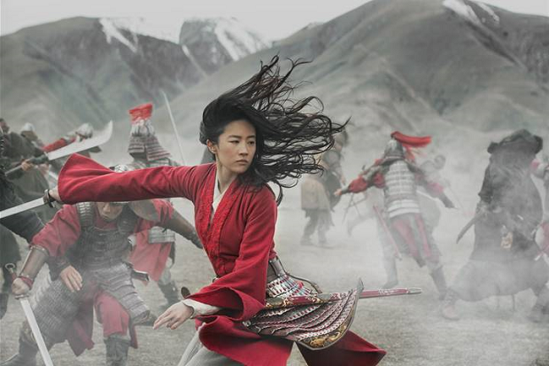 Mulan - fighting army