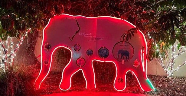 Light-up Elephant