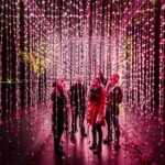 Lightscape: Reimagined for 2023 at the Los Angeles Arboretum