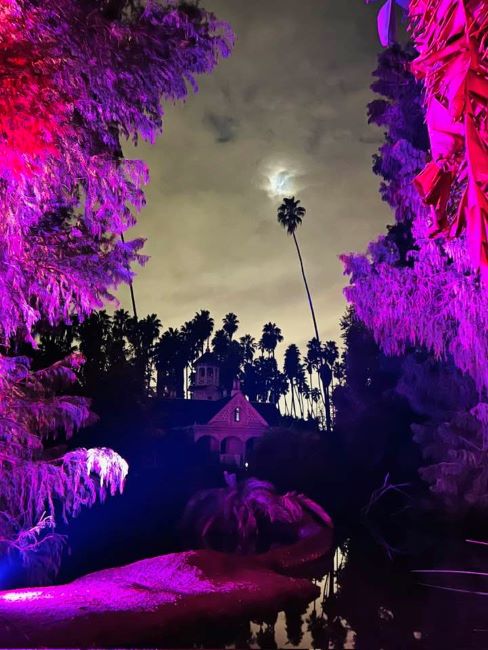 Lightscape - Moon over Arboretum